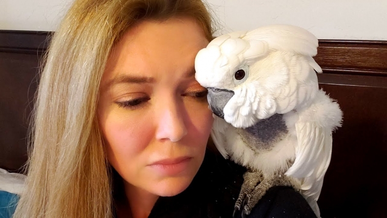 People Want Me to Euthanize My Rescued Cockatoo