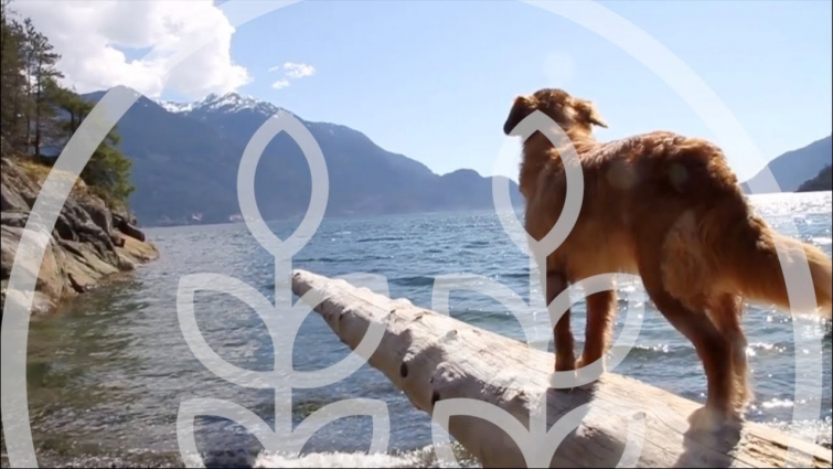 Welcome To Our YouTube Channel!