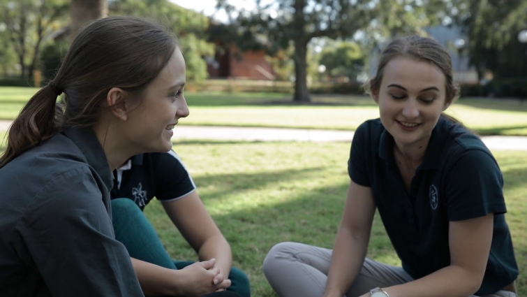 Want to become a veterinarian?