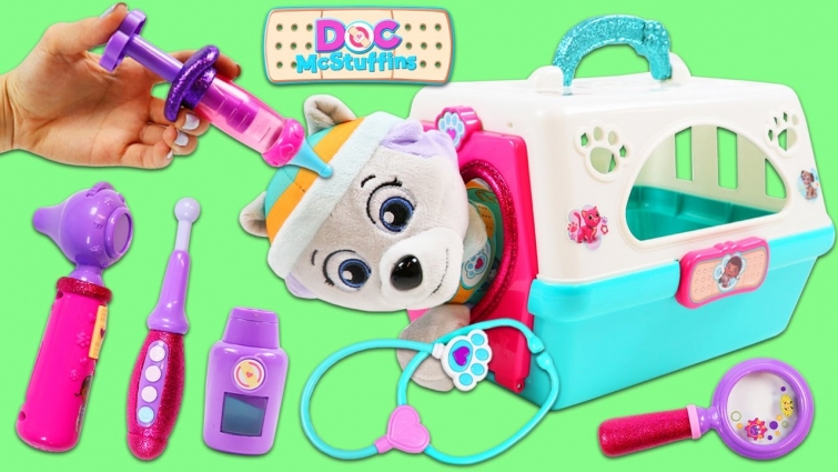 PAW PATROL Pup Everest Gets Visits Doc McStuffins Pet Vet with Puppy Crate!