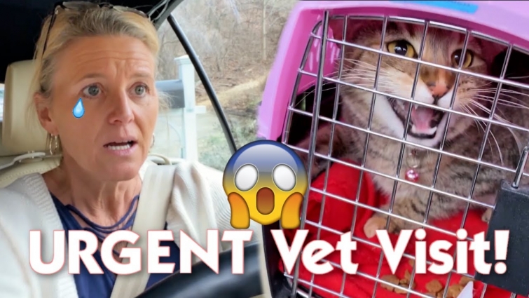 Change Of Plans: URGENT Vet Visit *Something Bit Alice!!*