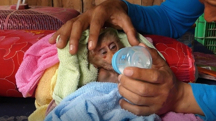 Now a veterinarian has asked Baby Simon to be treated at his hospital