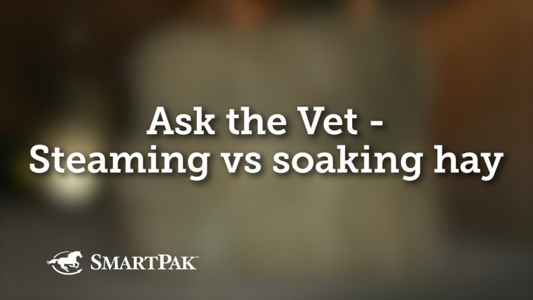 Ask the Vet – Steaming vs soaking hay