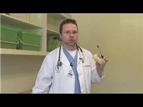 Dog Health : How to Clean Tartar Off of a Dog's Teeth