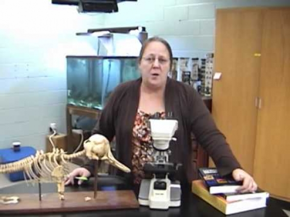 Veterinary Technology (AS) program, Faculty Advice Video from drkit.org