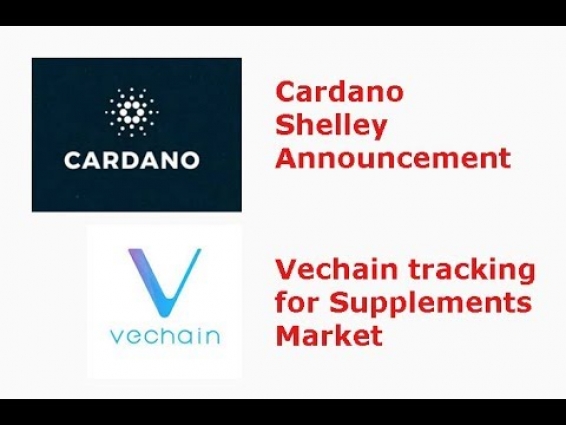 Cardano(ADA) Shelley announcement, VET supplements market, CB error, livestream recap