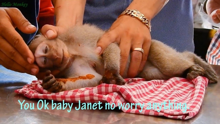 Veterinarian checking and treatment to baby Janet hand | Baby Janet cry loudly she is very hurt