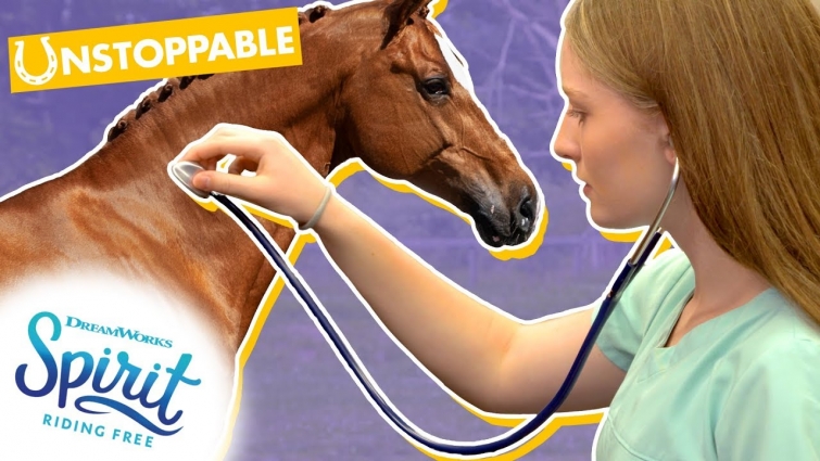 All About Equine Veterinary Care! | THAT'S THE SPIRIT