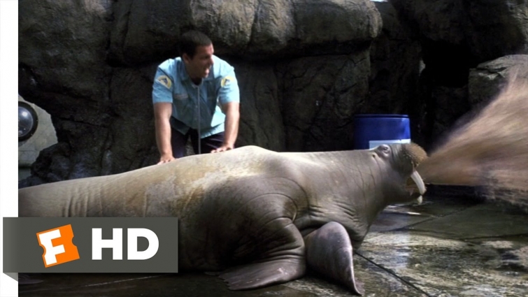 Vomiting Walrus – 50 First Dates (3/8) Movie CLIP (2004) HD