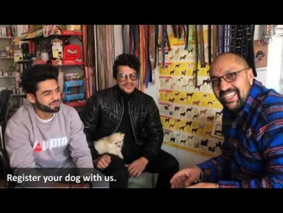 College || University || Life With Miniature Pom