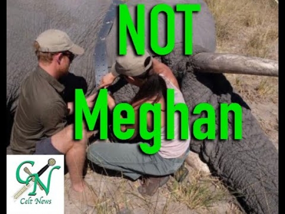 Is it Meghan – or Dr Amanda Salb? imo NEITHER ….