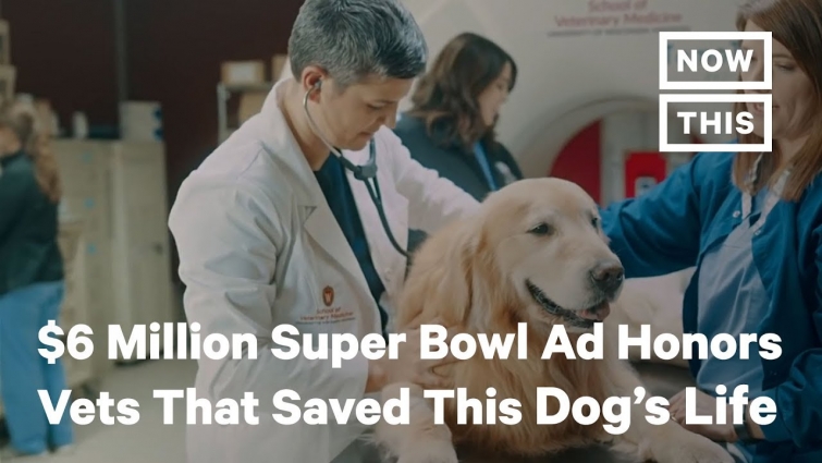 $6 Million WeatherTech Super Bowl Ad Honors the Vets That Saved a Dog’s Life | NowThis