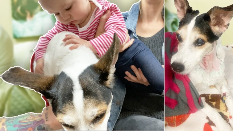 IMPORTANT VET CHECKUP FOR MARLEY!