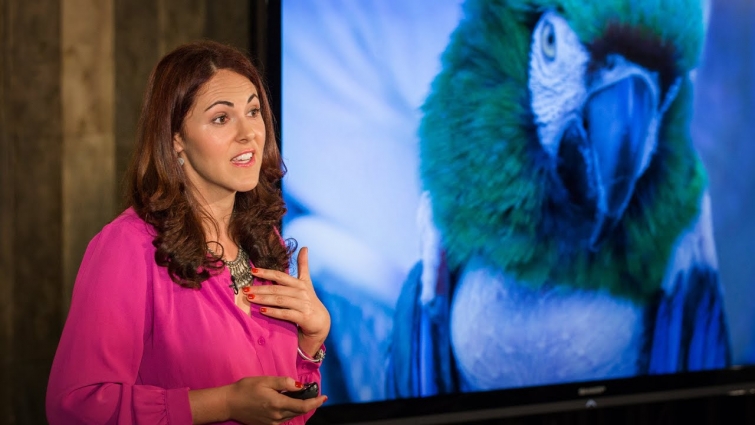 Depressed dogs, cats with OCD — what animal madness means for us humans | Laurel Braitman