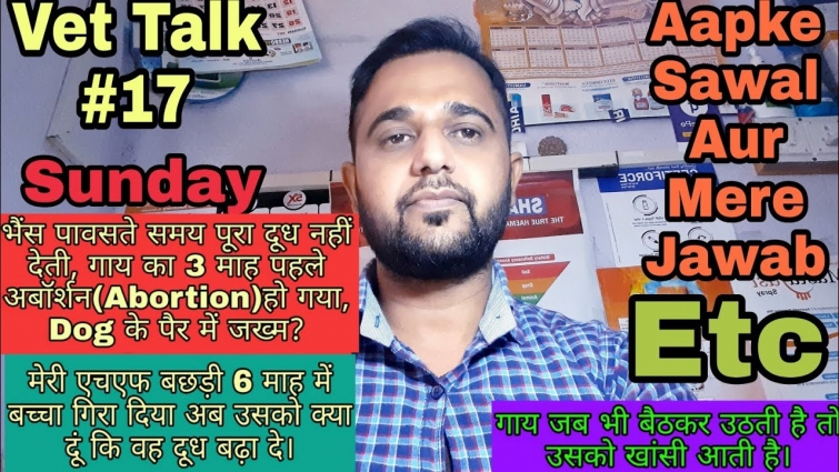 Vet Talk#17,भैंस पावसते समय पूरा दूध नहीं देती, गाय का 3 माह पहले अबॉर्शन हो गया,Dog के पैर में जख्म