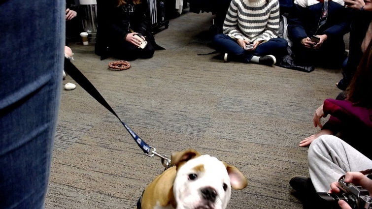 Butler Blue IV Puppy Hours