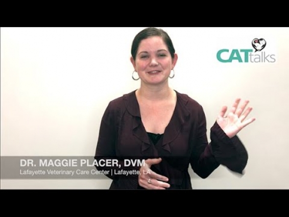 Cat Talks Video Series – Taking Your Cat to the Vet