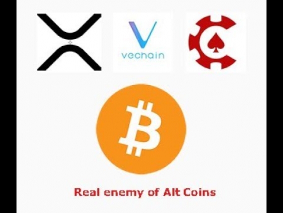 VET, XRP, CSC, and the real enemy of Alts and why I would not sell in USD(sell to BTC) right now