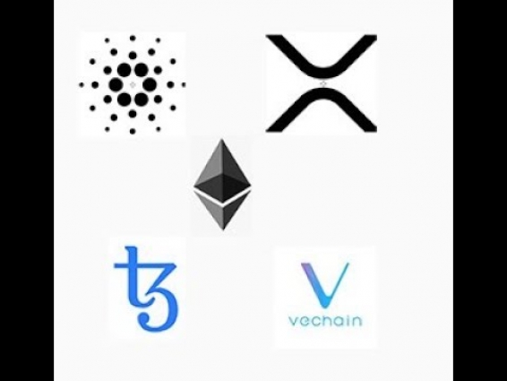 ETH,ADA,XRP,XTZ,VET, which coin will be #1 after 7 or 8 years