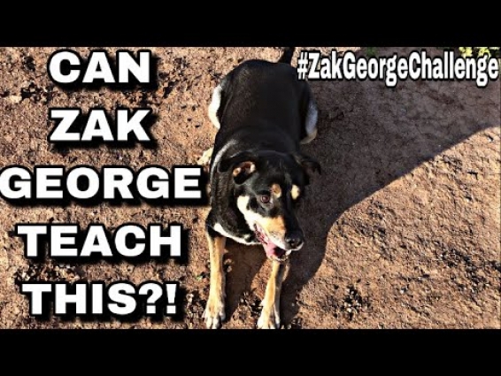 The Zak George Challenge #ZakGeorgeChallenge (ORIGINAL VIDEO)