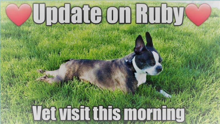 Update on Ruby  Vet visit this morning  May 1, 2018