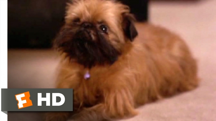 As Good as It Gets (2/8) Movie CLIP – Verdell the Dog (1997) HD
