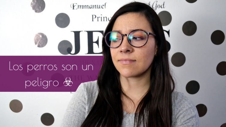 Coronavirus canino 🐶 es contagioso para los humanos ❌? | Dra. Vet