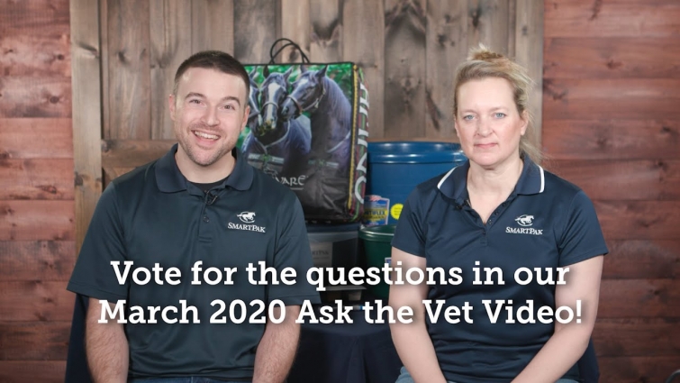 Vote for the questions in our March 2020 Ask the Vet video!