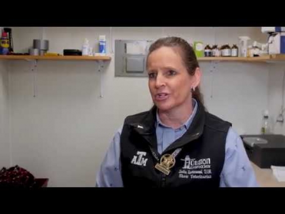 Dr. Leslie Easterwood – Houston Livestock Show and Rodeo Veterinarian