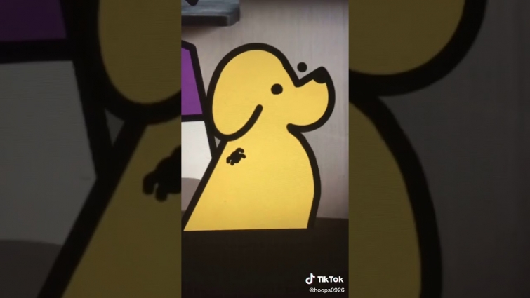 The Vet TikTok video!