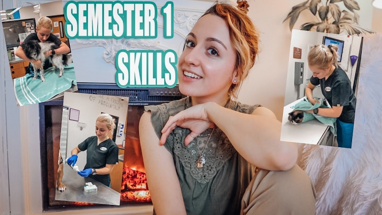 Clinical skills videos for Ashworth College- Semester 1 (Vet Tech)