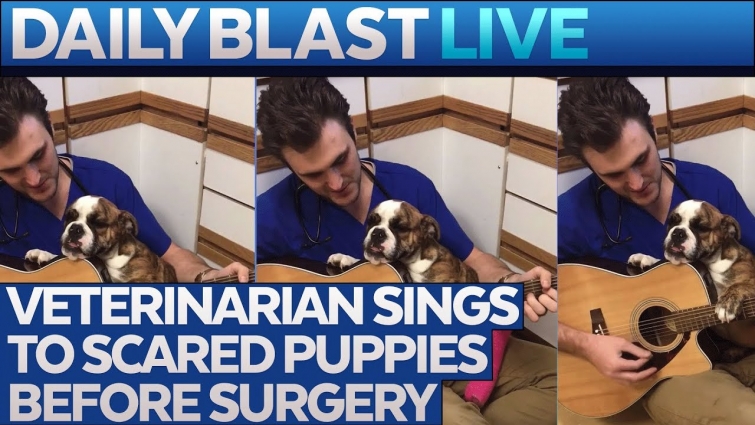 Singing Veterinarian Comforts Pet Patients With Music