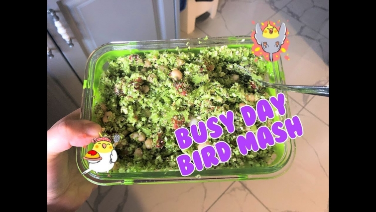 What I Offer my Parrots On Busy Days 😊😇