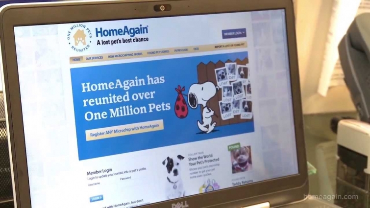 Protect Your Pets with HomeAgain
