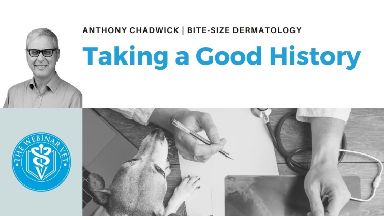 Vet Dermatology Top Tips  – Taking a Good History