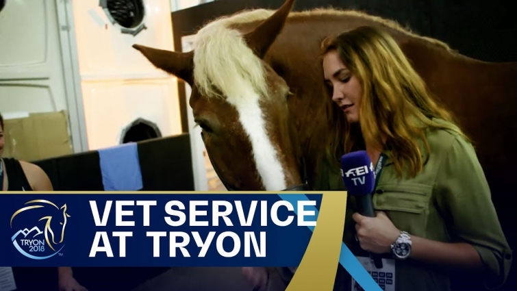The Veterinary Treatment Center at #Tryon2018 | FEI World Equestrian Games 2018