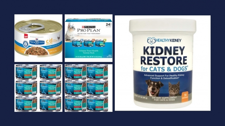 ✅ TOP 5 – Best cat foods for urinary health in 2020 – The Best For The Money