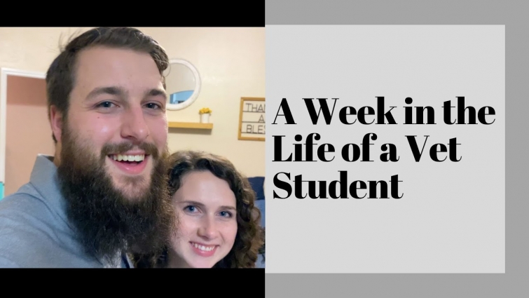 A Week in the Life of a Vet Student