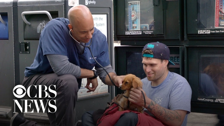 Veterinarian offers free checkups for homeless pets