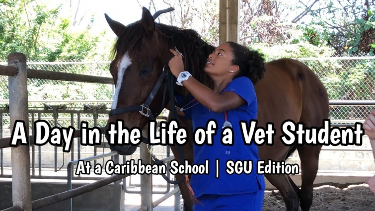 A DAY IN THE LIFE OF A VET STUDENT IN 9 MINUTES | ST. GEORGE'S UNIVERSITY