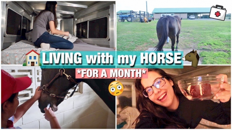 LIVING AT THE VET with MY HORSE for a MONTH! | My Pregnant Horse Pt.12