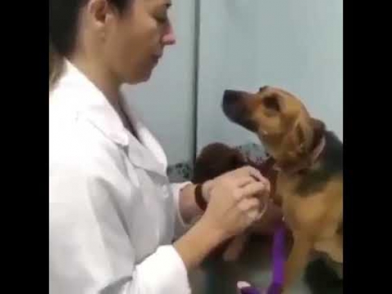 I'm bleeding internally