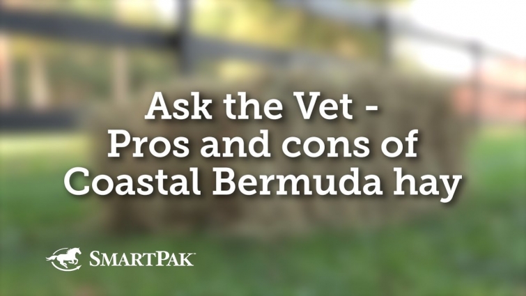 Ask the Vet – Pros and cons of Coastal Bermuda hay