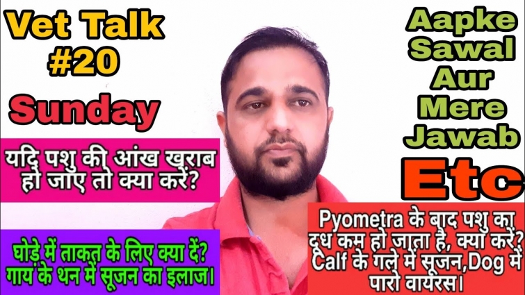 Vet Talk #20,Pyometra के बाद पशु का दूध कम हो जाता है क्या करें?Calf के गले में सूजन,Dog  Parvovirus