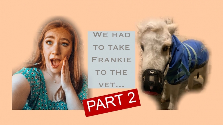 We had to take Frankie to the vet… PART 2: What we learned.