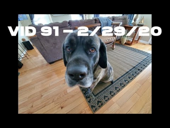 We took her to the vet