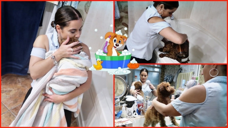 KAMORA'S FIRST BATH AND FIRST VET VISIT .VLOG #247