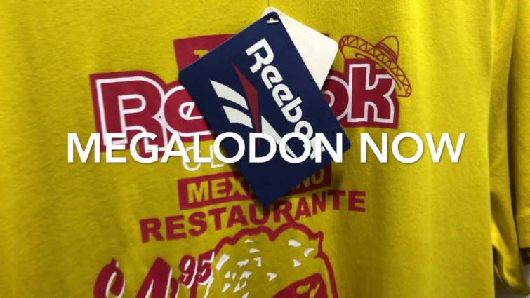 REEBOK LO ULTIMO LA BOMBA! 2020 LA GRASA –  Mnow