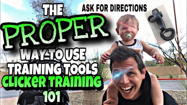 Dog Trainers DON’T Want You To See This Video | PROPER Training Methods w/ DIRECTIONS