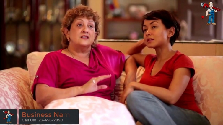 Plumber Or Plumbing Service Explainer Promo Video